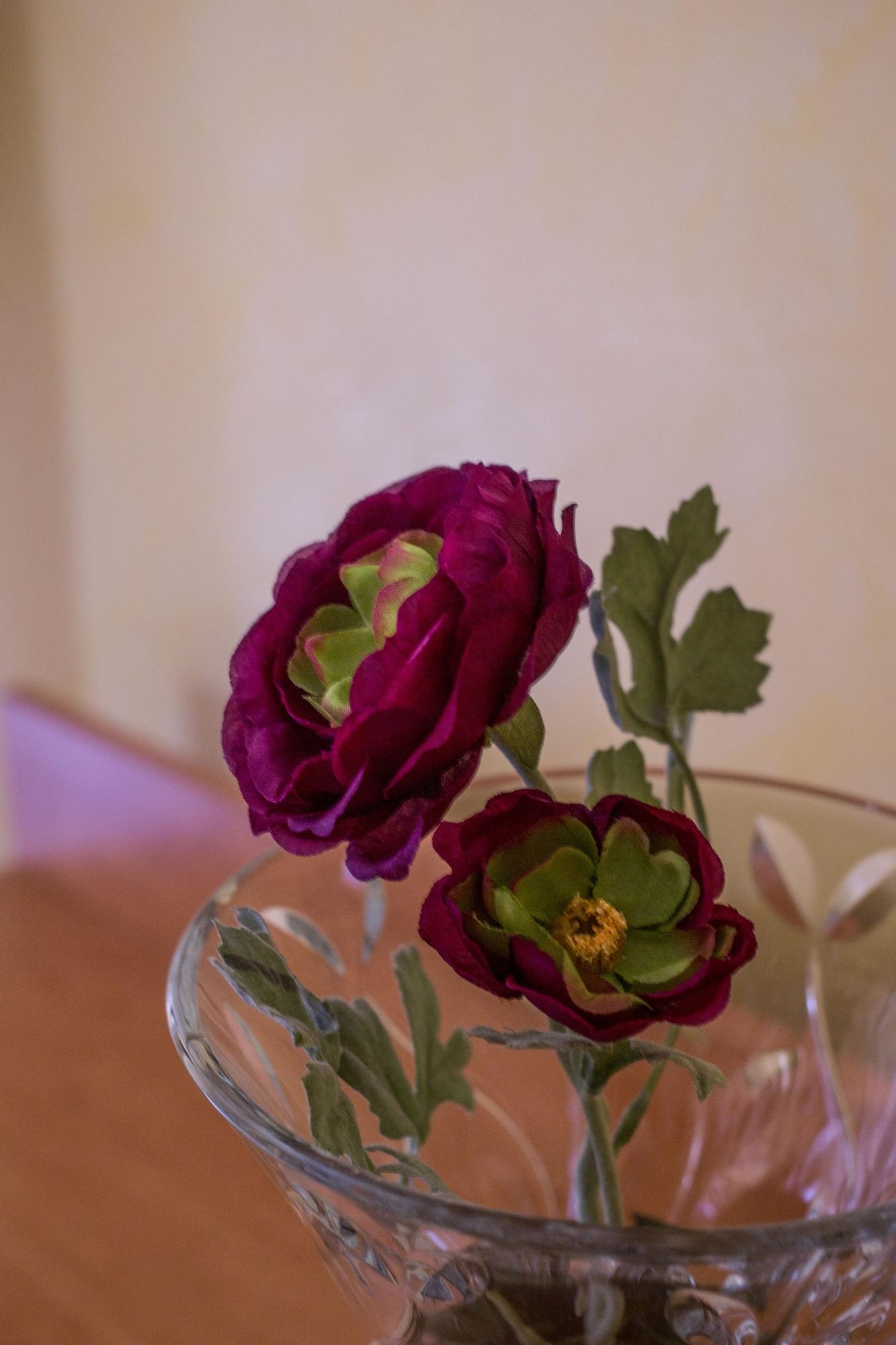 פירנצה Hotel Angelica מראה חיצוני תמונה
